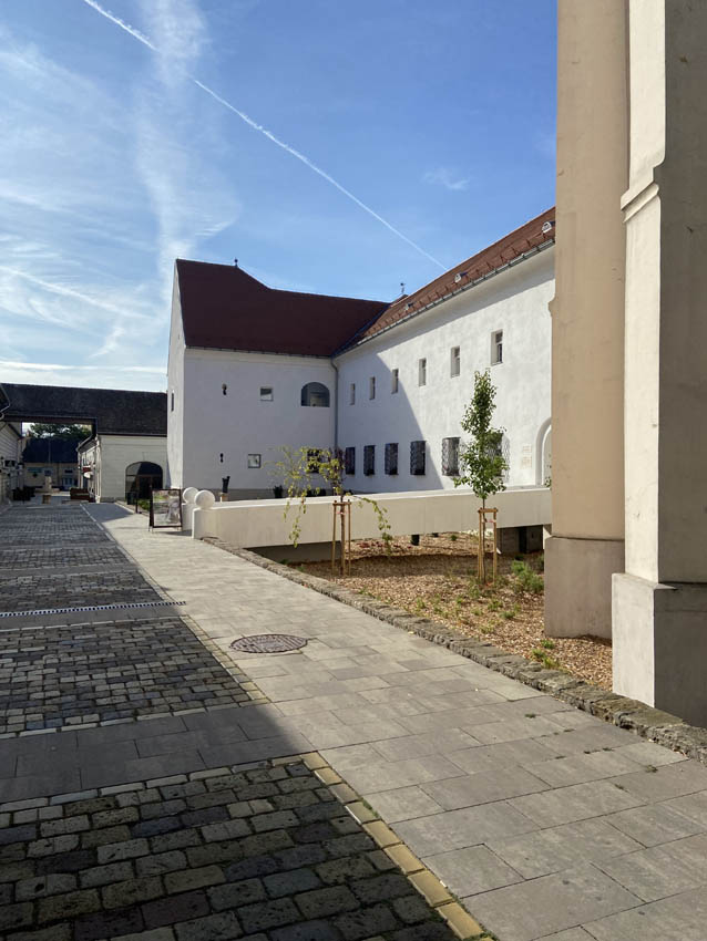 Kodály Institute